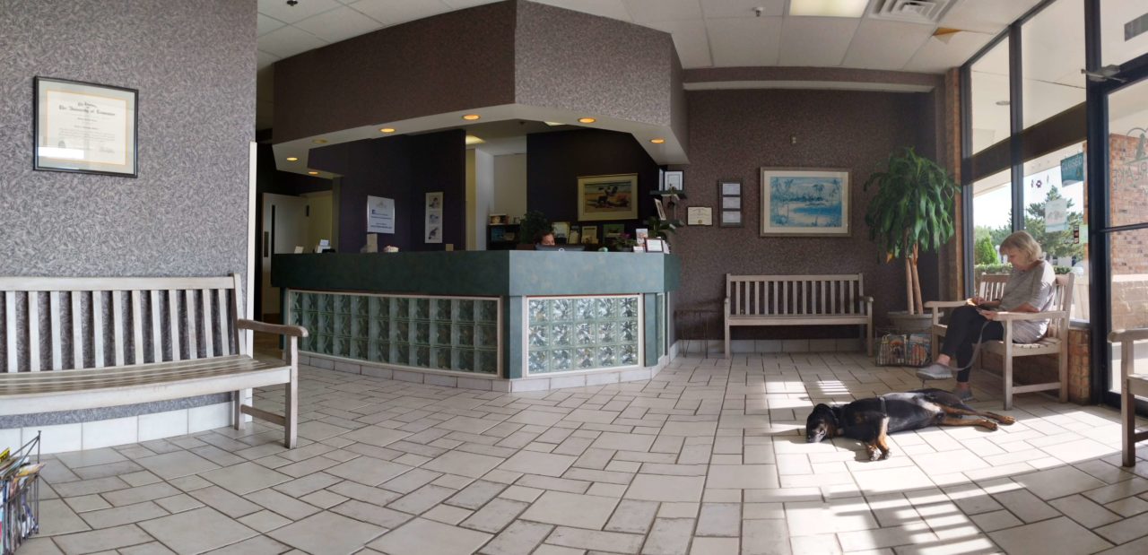 Best Veterinary Hospital In Virginia Beach, VA Timberlake