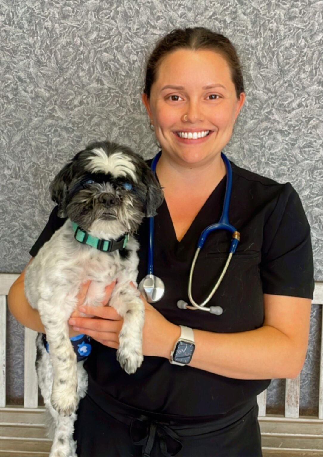 Vet In Virginia Beach, VA | Timberlake Veterinary Hospital